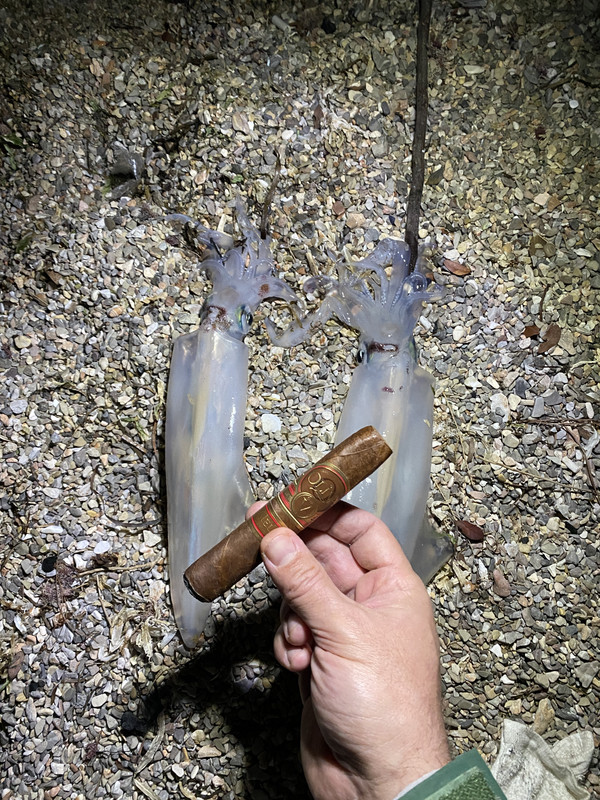 23325EAC-196A-4FBE-8E39-038559B7FF47