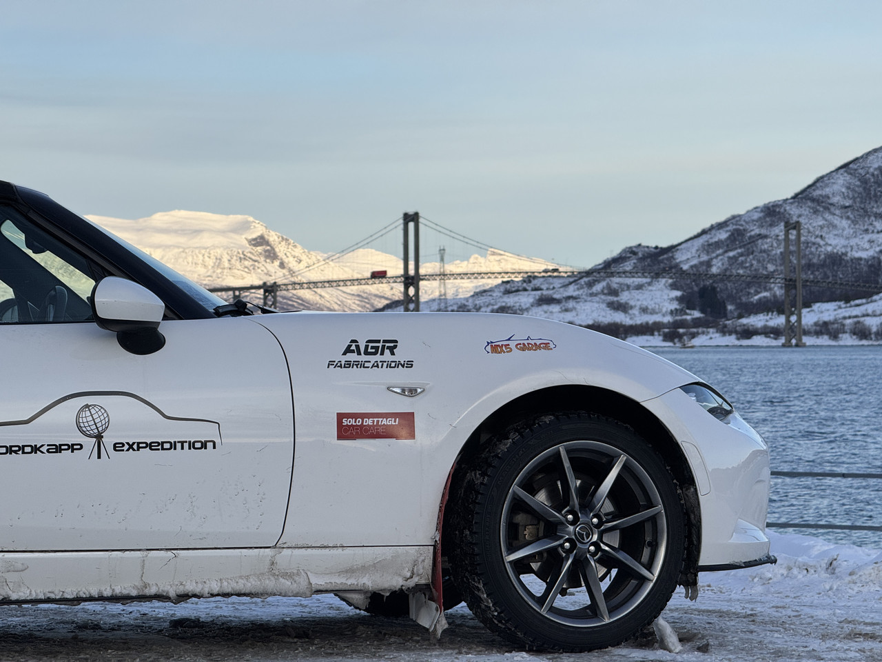 [Immagine: IMG-8519.jpg]