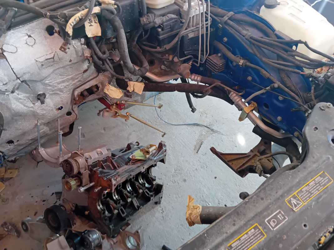 17308876686268080481296639042734