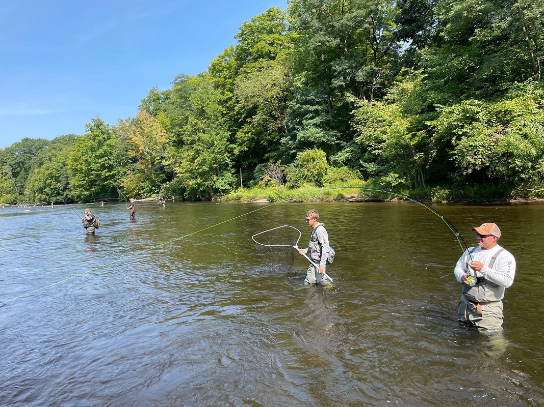 8D18137A-3A8F-4917-81C1-329F94E5097D