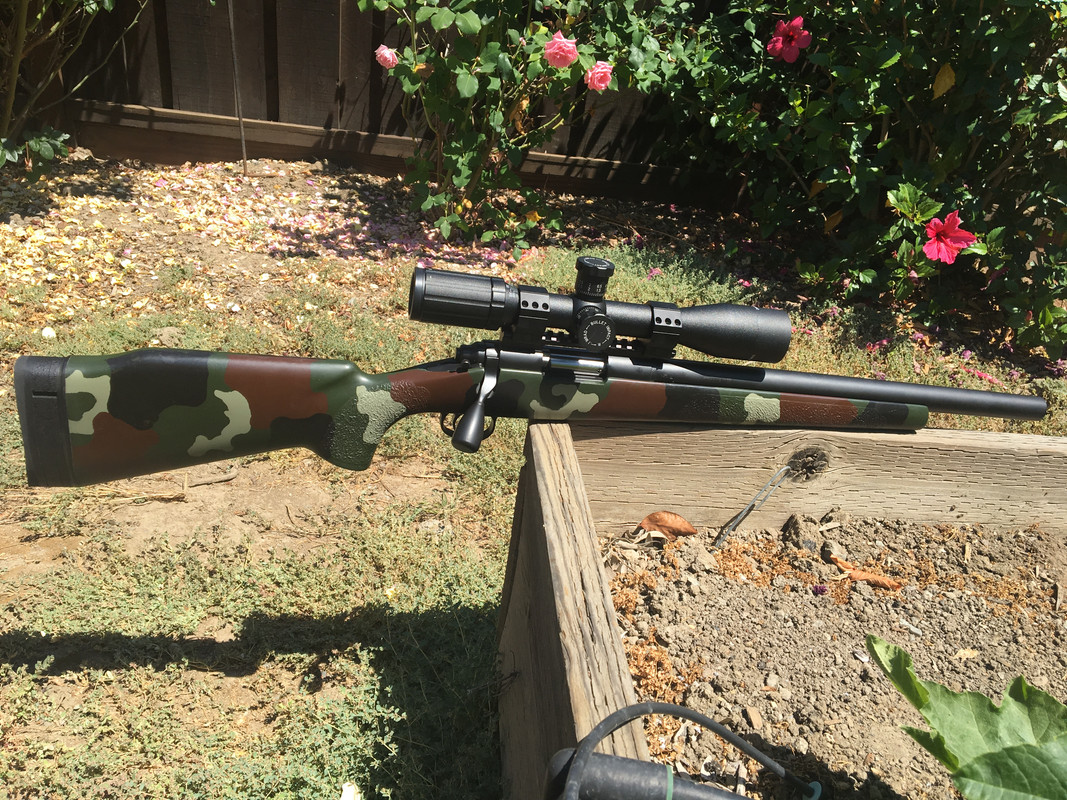 A53C7533-61F8-45AC-AED8-8E75DF9210E8