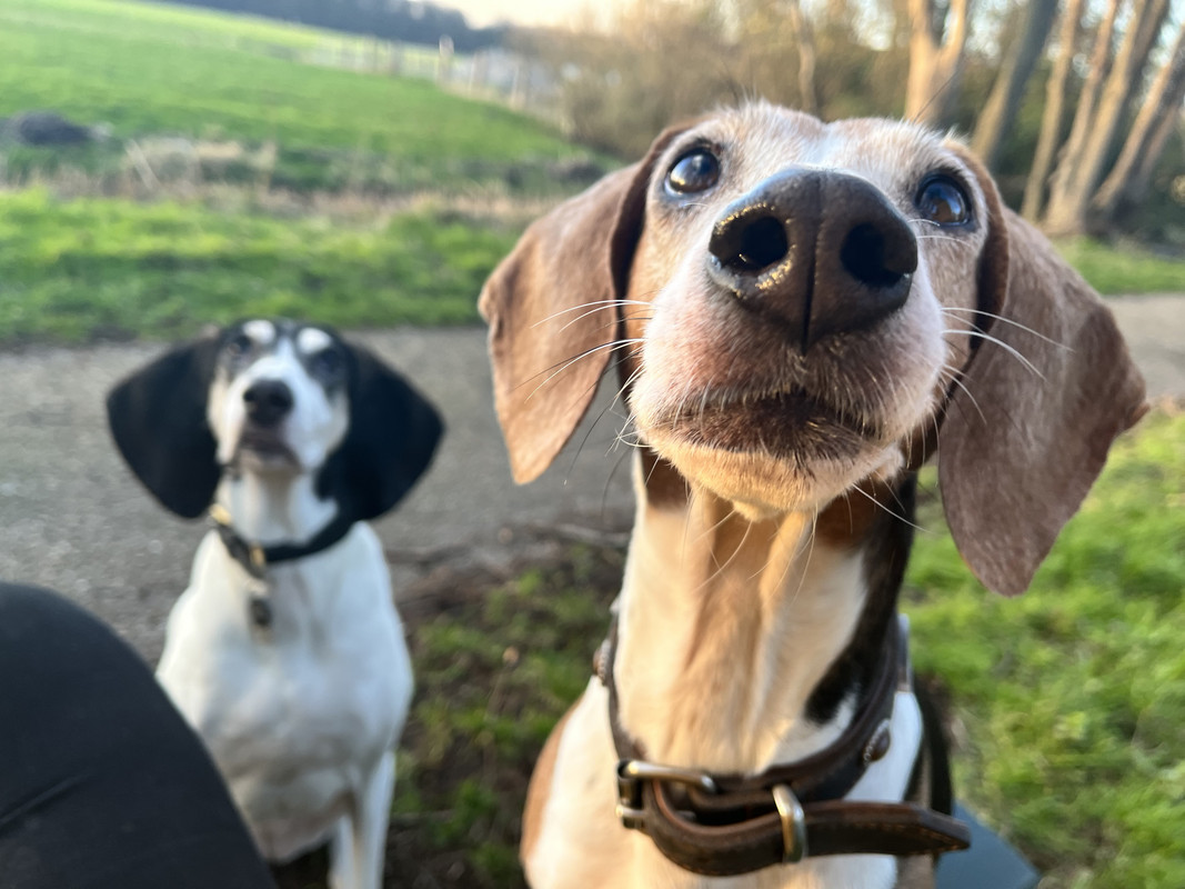 74ECFA3B-995A-4A8D-B217-2076427C9845