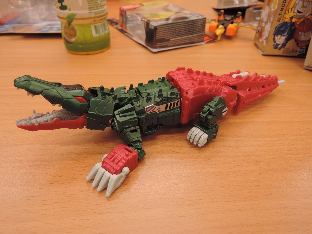 13301407_272135916470176_1511339860059629862_o