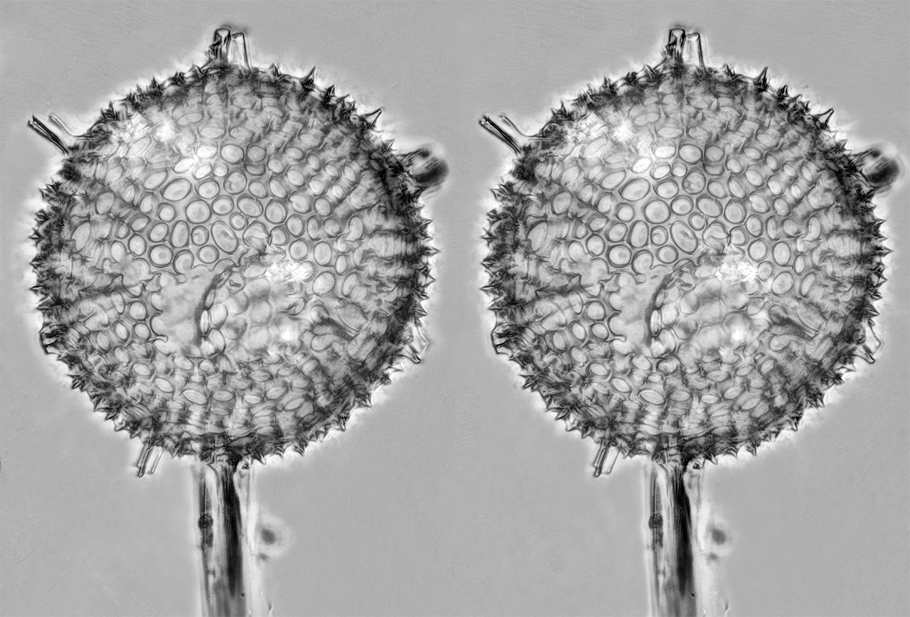 Stereo 3 5 TPnd 2048