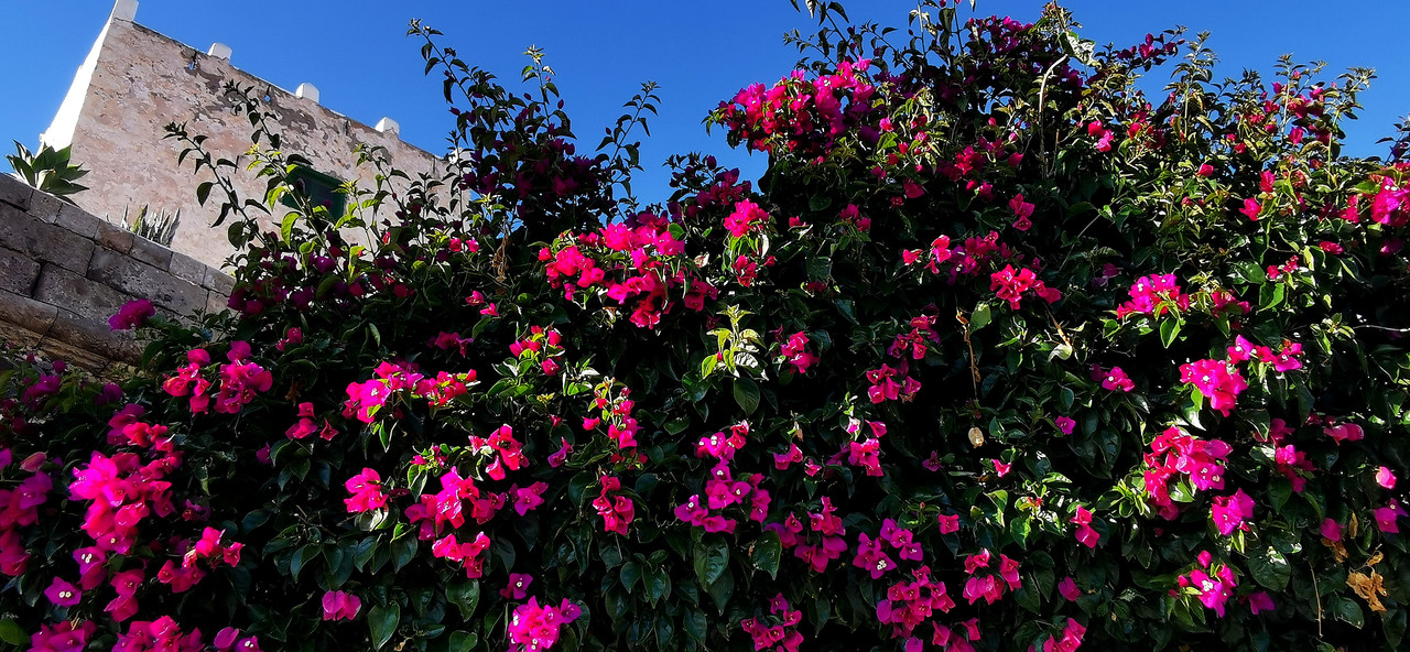 https://i.postimg.cc/0yYf6FQ8/IMG-20240102-165354-edit-63886554586604.jpg