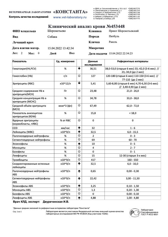 Клинический анализ крови (453448)