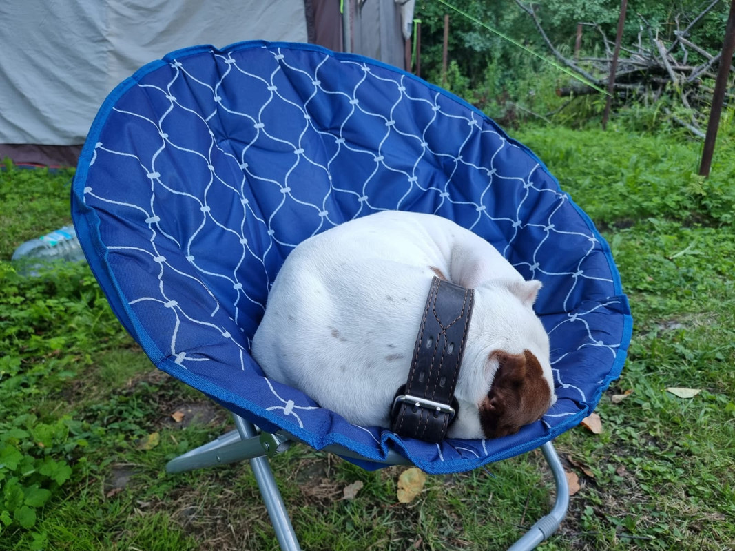 844C3442-46FD-44EA-AE32-5EC2594107F7