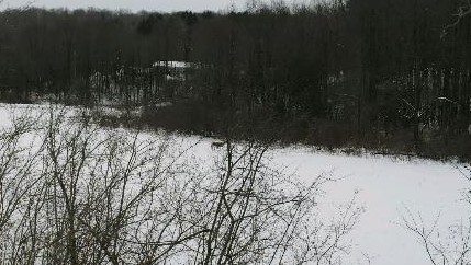 thumbnail (2)