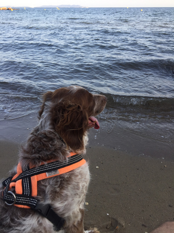 0612BC86-1E12-4FB7-9294-0D1867BDA304