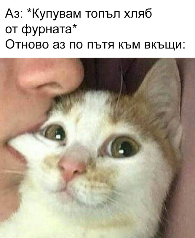 14032540