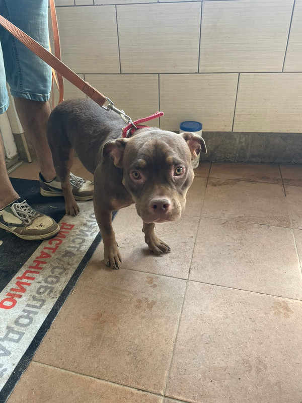 WhatsApp Image 2023-04-08 at 14.23.13 (1)