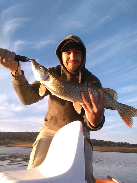 pike-1.jpg