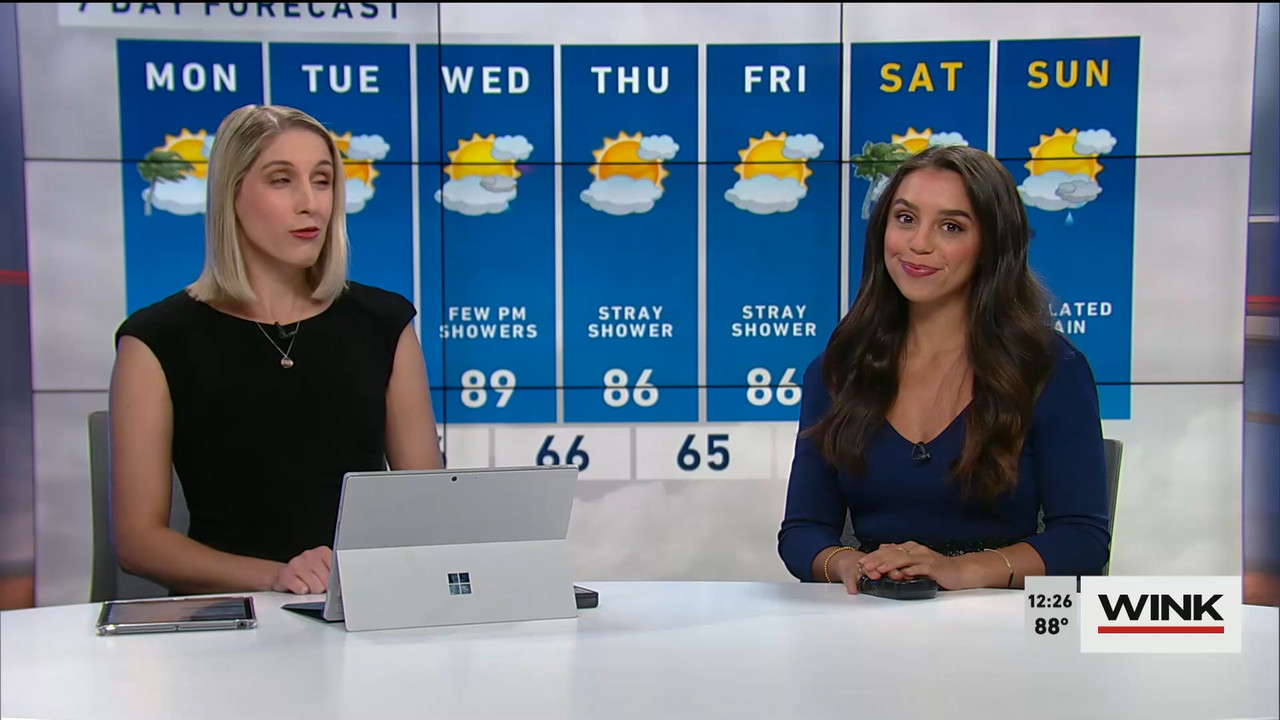 03.06 - 17.00.00 - The WINK Noon News  ᴺᵉʷ. Midday news update..ts_snapshot_32.33.210
