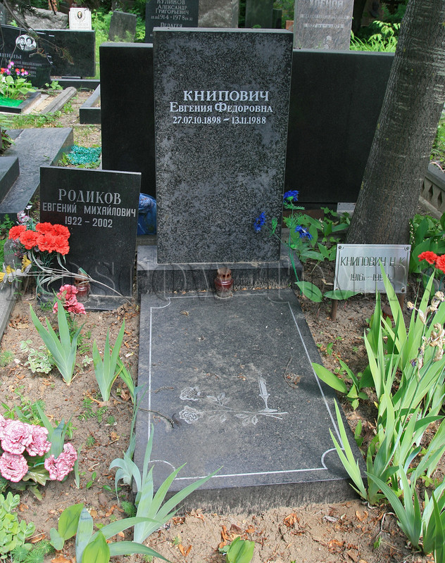 knipovich-ef