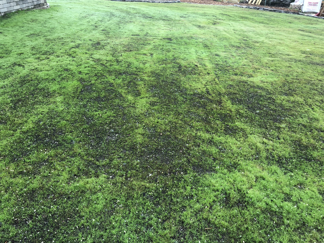 587765B6-7023-4F72-962A-28939C1B99F0