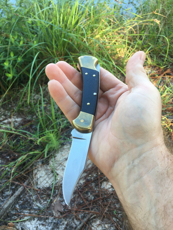 B2735900-E454-413C-B9ED-B553A88FFEAB