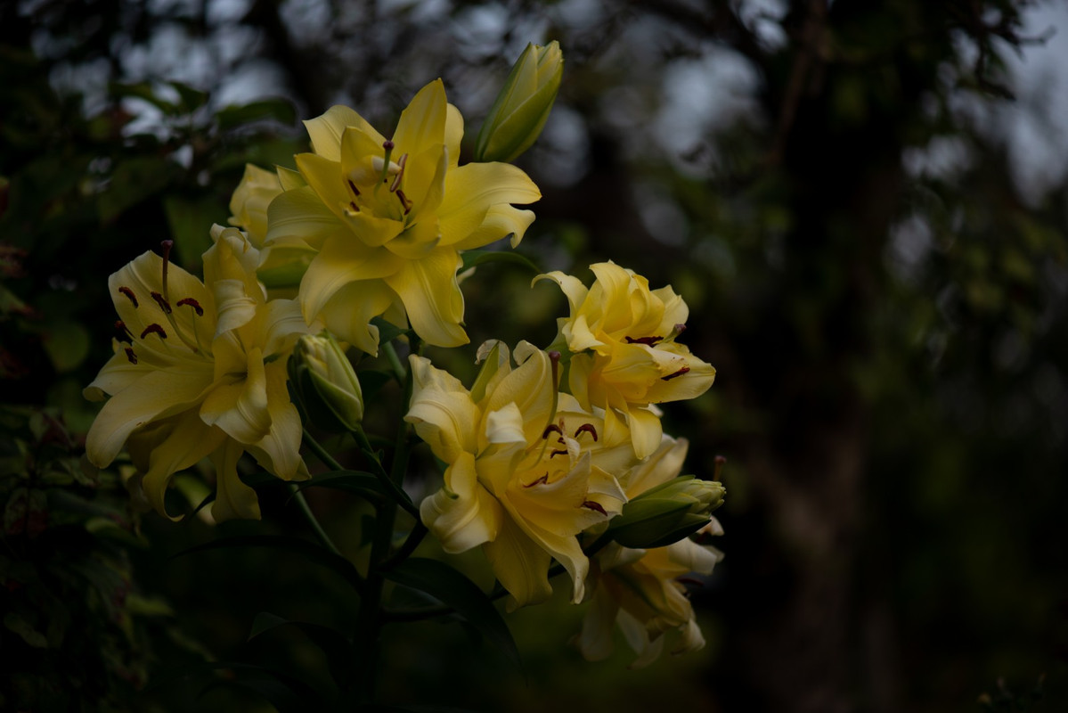 IMG-d7858f11a3861628e12d8cf6595df717-V