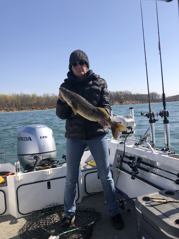 8AED29A6-A127-46CC-8C54-1C5BCCBF977A