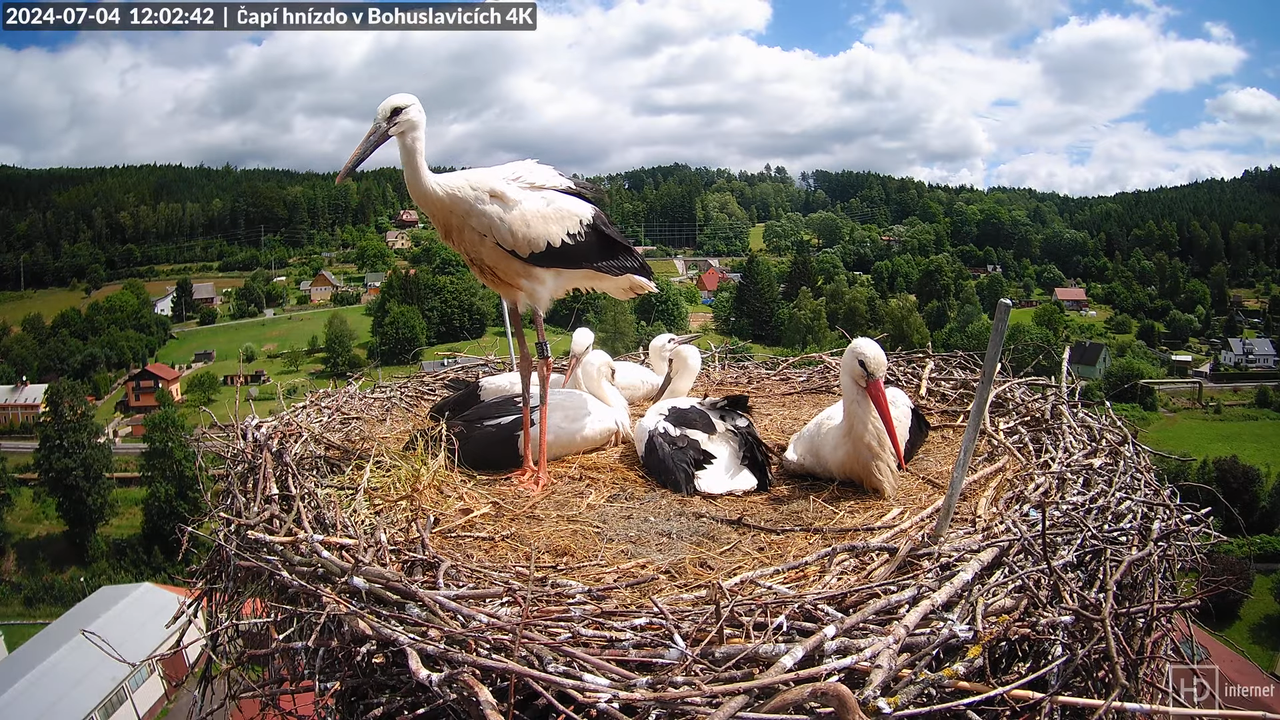 Tiešraidē no uzņēmuma KARA stārķa skursteņa Bohuslavicē pie Trutnovas 15-28-18 screenshot
