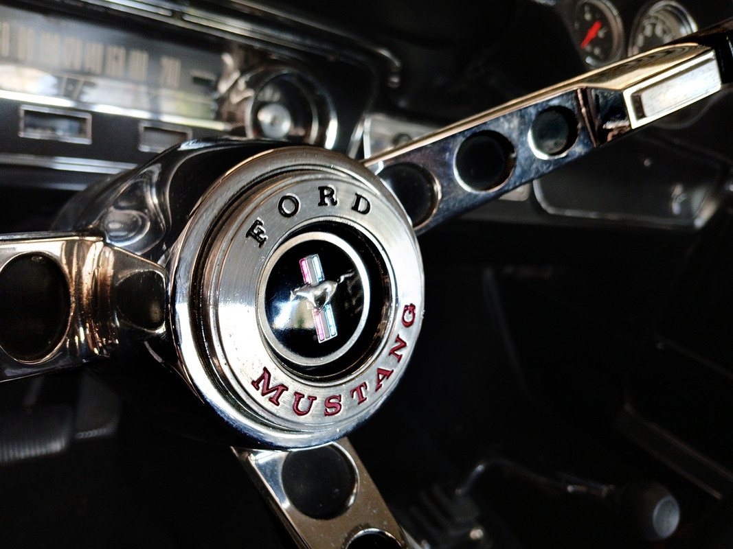 MUSTANG_EA2504-21