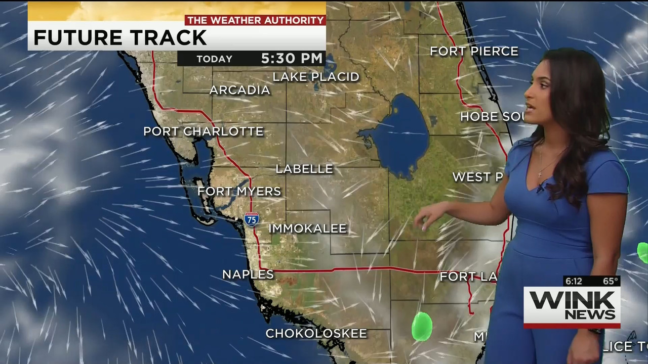 11.28 - 11.00.00 - WINK News This Morning..ts_snapshot_13.33.805