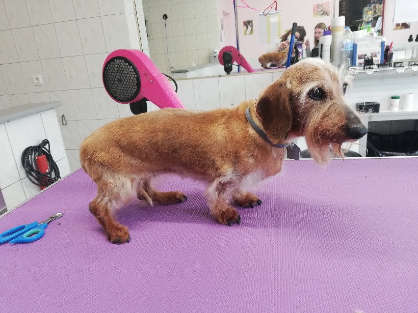 [Image: PART-1615905300802.jpg]