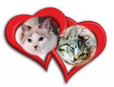 An den Beitrag angehängtes Bild: https://i.postimg.cc/0ybQX7Z9/Dolly-si-Bella.jpg