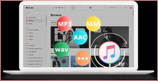 Pazu Apple Music Converter v1.7.10 Pazu Apple Music Converter v1.7.10