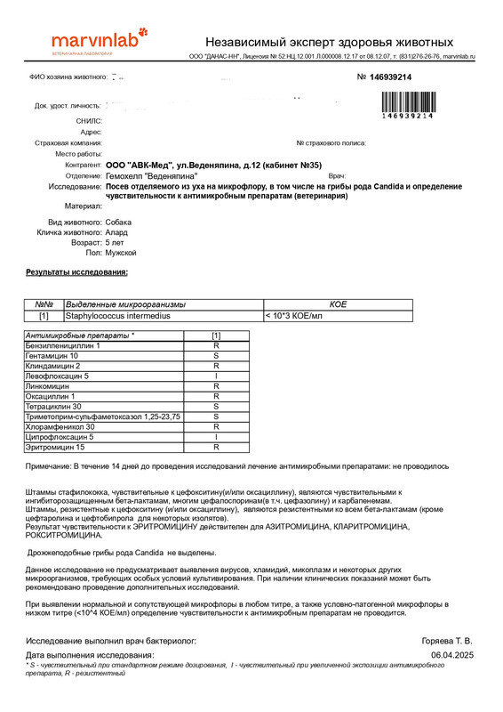 Result (1)_page-0002