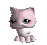 lps cat gif
