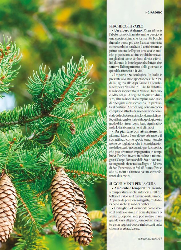 Il Mio Giar Dic 2025 Gen 2026 (4)