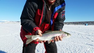 88728ECE-DE9F-4234-BD56-2F9C198EC305