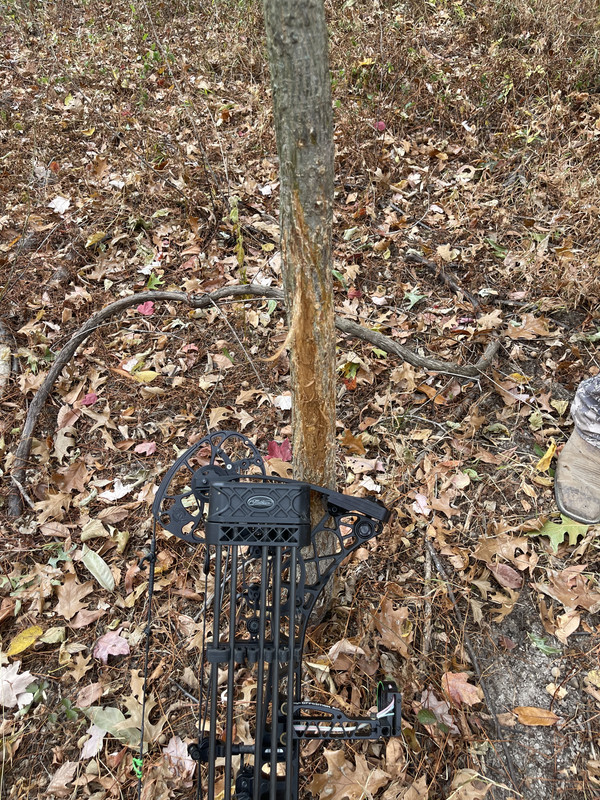 621A2DCB-A4C3-454C-9B55-C20E1E58F694