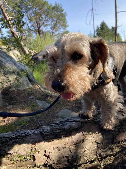 [Image: IMG-3009.jpg]