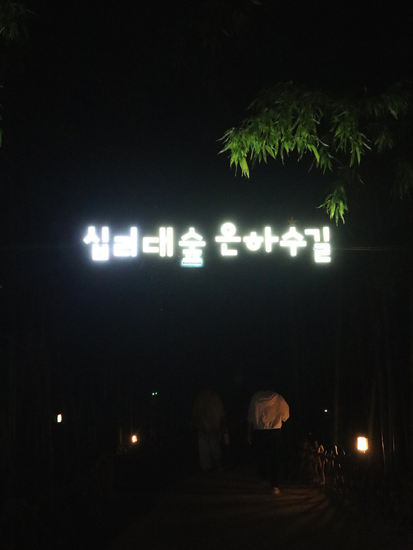 IMG-3256