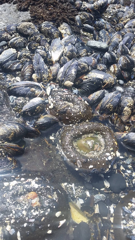 [Image: 18891786-1886219561393507-5529295546558478441-o.jpg]