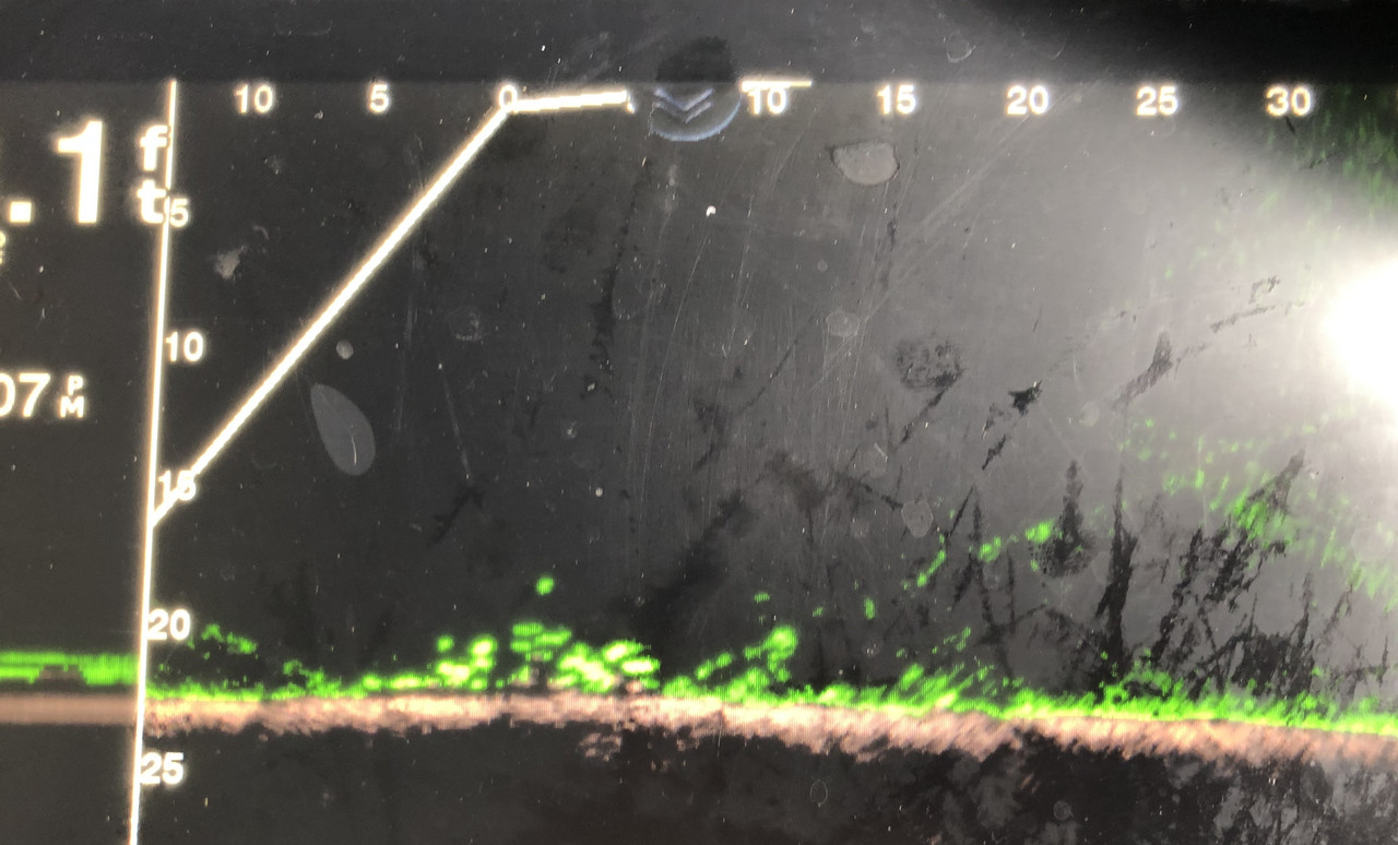 3.22.19 Livescope