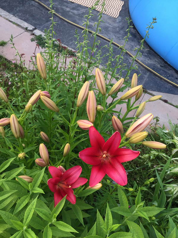 D2C22202-1B44-42FC-B682-D8C9253A18F3