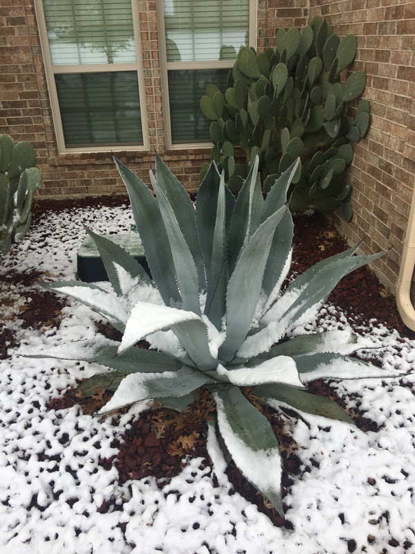 B702E316-977B-4A98-8E78-6FC94ABB2DF7