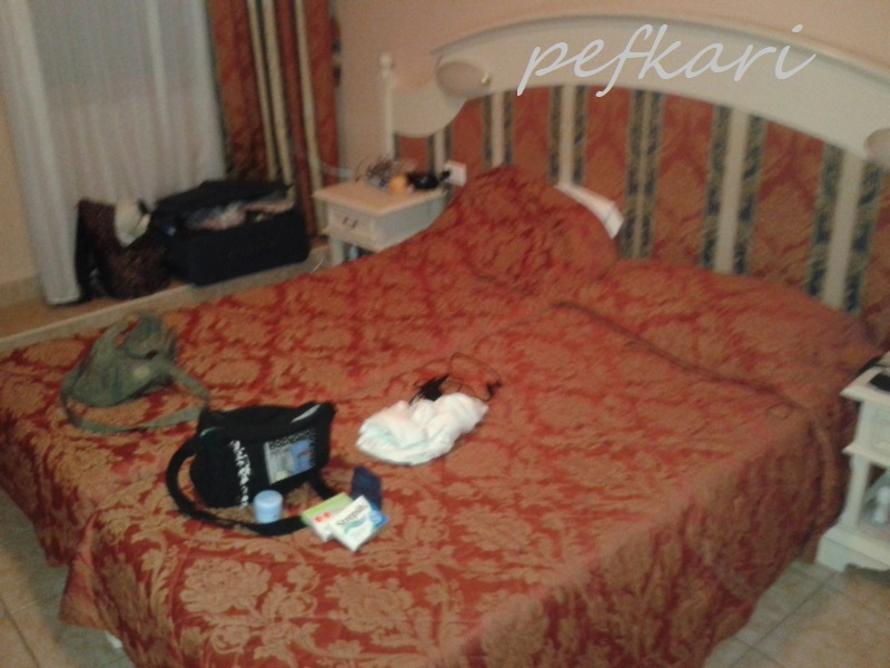 Slika