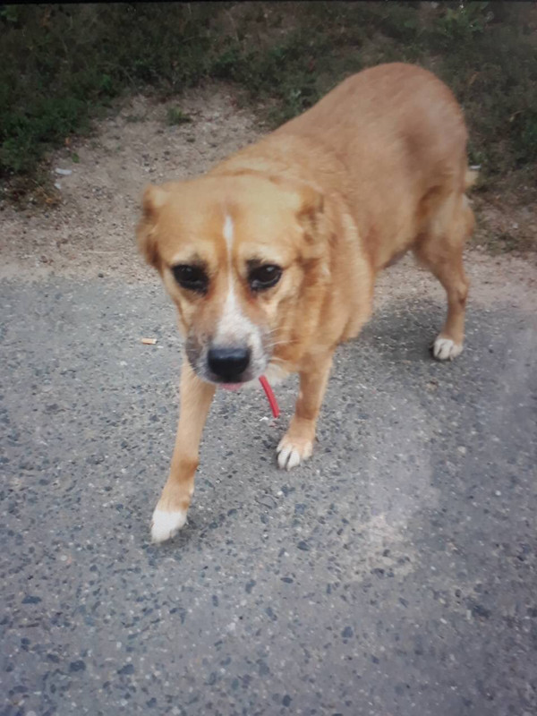 3736EBDD-90D2-4BCC-A74E-BA822BA408C2