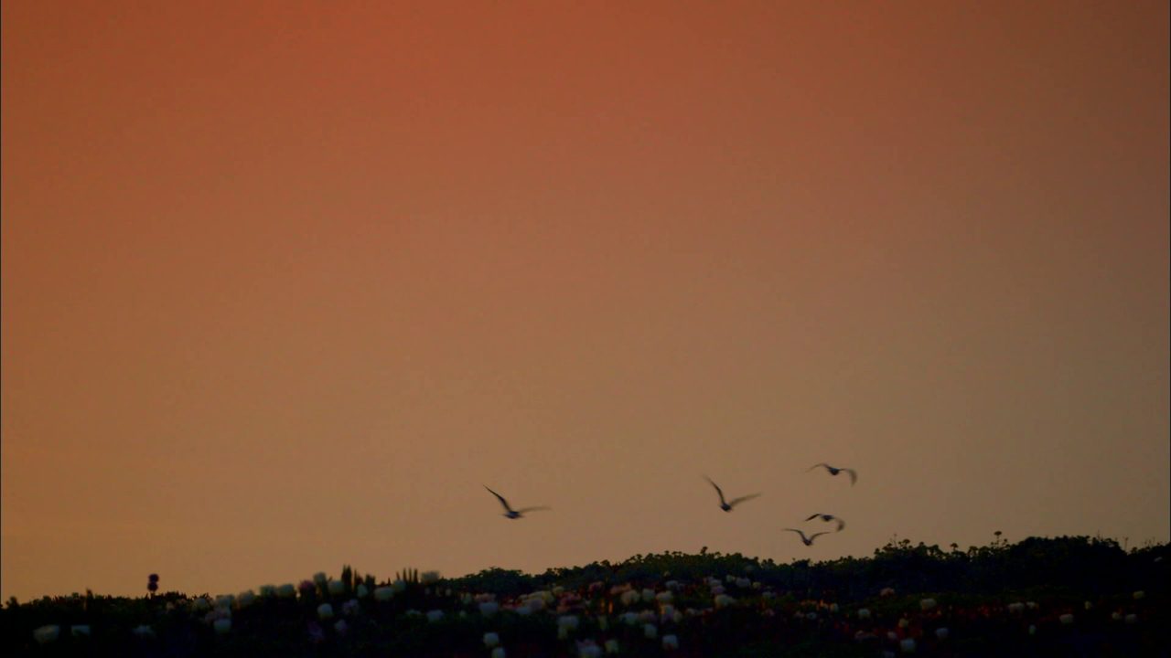 vlcsnap 2026 04 16 17h00m55s155