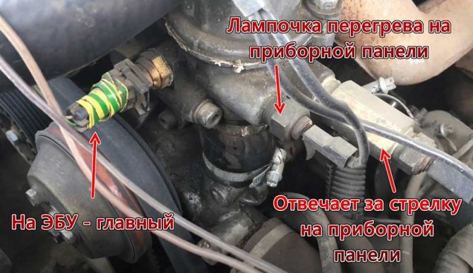 Зображення
