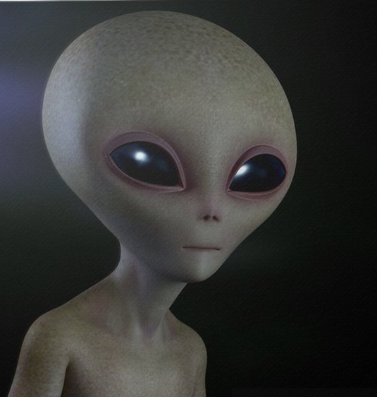 New-Bitmap-Image-8.png