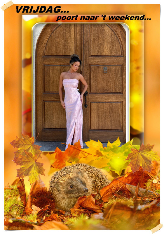 Klik op de afbeelding om de link te volgen