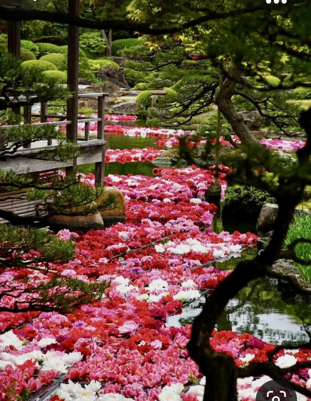 Screenshot_20231020_211620_Pinterest