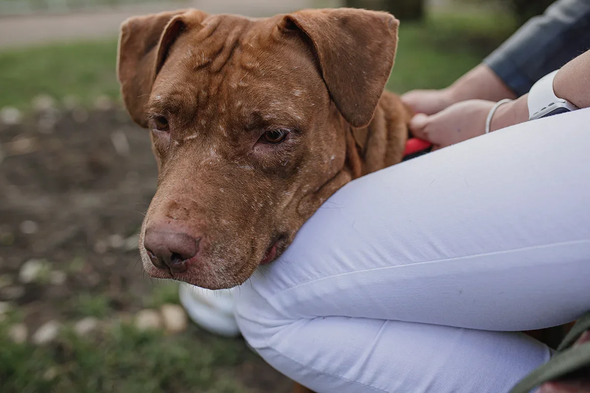 97DF0F61-BA02-476D-A81C-C528542F7E52