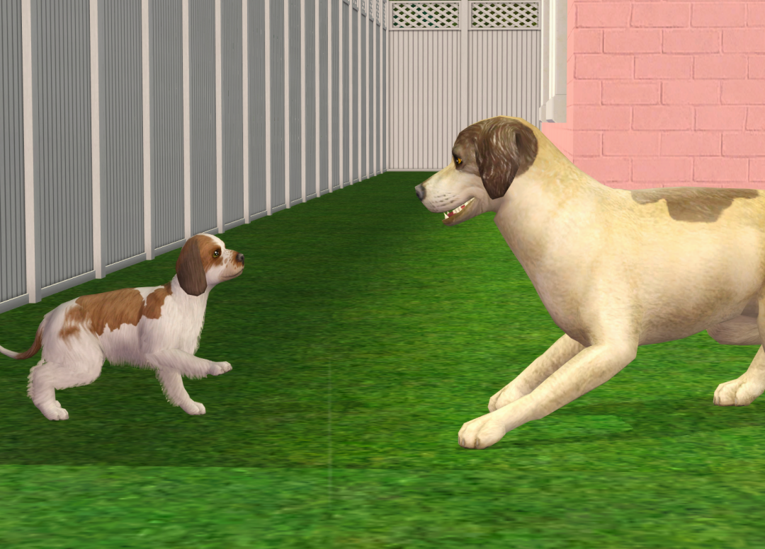 Sims2-EP9-RPC-2023-10-01-15-36-51-81