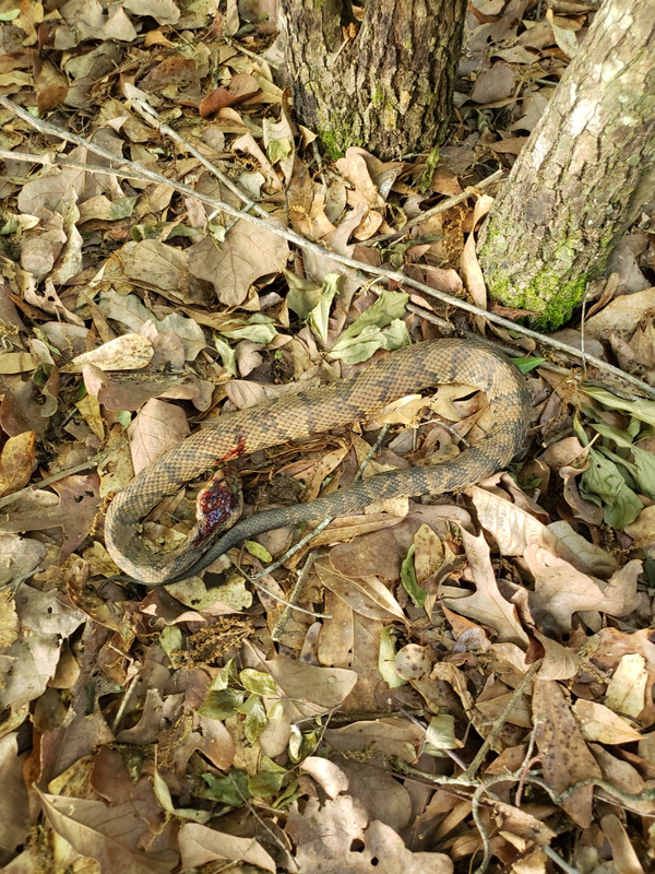 Resized_20240420_075255