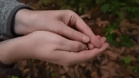 https://i.postimg.cc/0yg0NMBv/9.gif